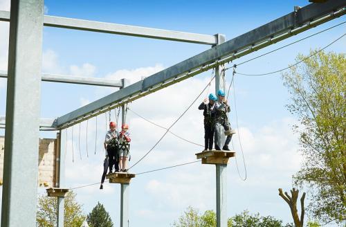 group of young people on Aerial Adventure course