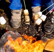 toasting marshmallows on a campfire