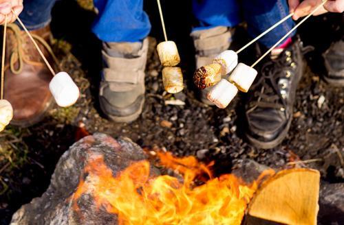 toasting marshmallows on a campfire