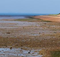 view of seashore at mersea island