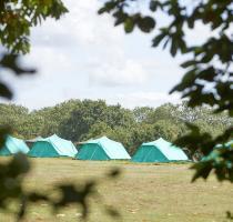 green patrol tents viewed through trees